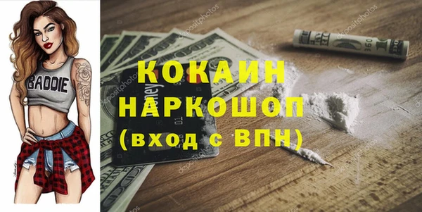 дмт Алексин