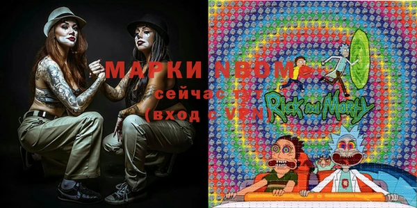 дмт Алексин