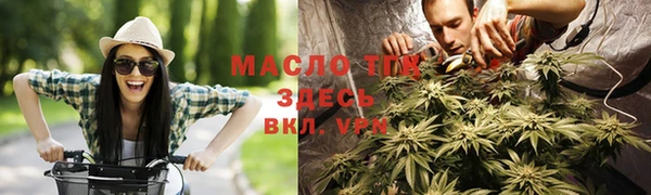 дмт Алексин