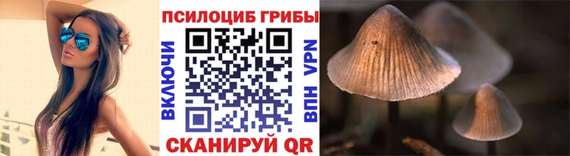 Псилоцибиновые грибы прущие грибы  blacksprut ONION  Пыталово 